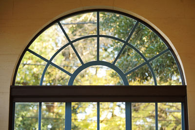 Trees seen through window