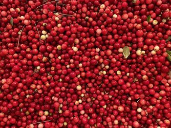 Full frame shot of strawberries