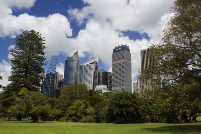 Central business district and royal botanic garden trees