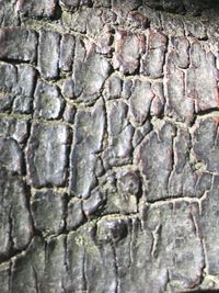 Full frame shot of stone wall