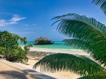 Palm trees on beach against sky