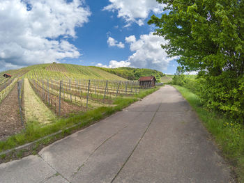 Road amidst green landscape against sky