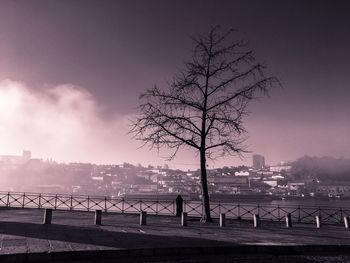 Silhouette bare tree by river against sky