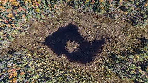 Aerial view of lake in forest during autumn