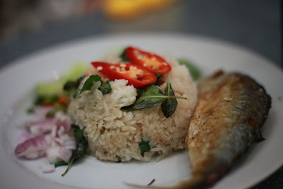 Close-up of meal served in plate