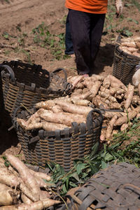 Man working in basket on field