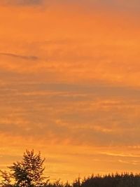 Low angle view of orange sky