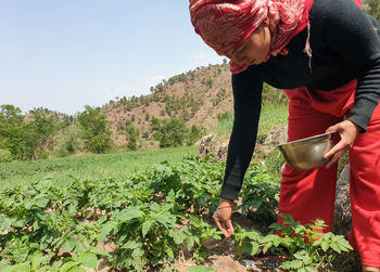 Full length of young women giving urea fertilizer to potato farm 