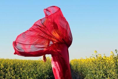 Red flower on field against clear sky