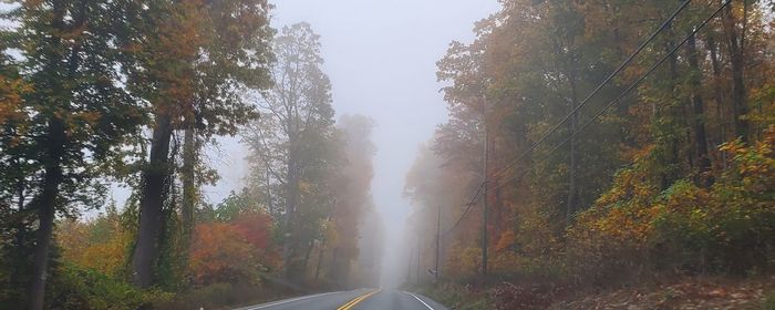 Road amidst trees in forest during autumn