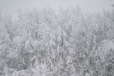 Full frame shot of snow on field