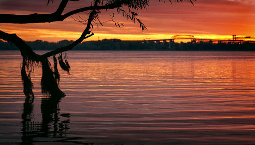 Silhouette tree by lake against sky during sunset