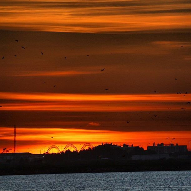 sunset, orange color, water, silhouette, scenics, tranquil scene, sky, beauty in nature, sea, waterfront, tranquility, idyllic, bird, nature, dramatic sky, cloud - sky, sun, cloud, reflection, dusk
