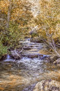 River flowing through rocks