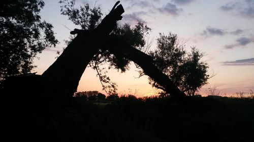 Low angle view of silhouette trees against sky during sunset