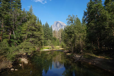 Reflection of trees in lake against sky