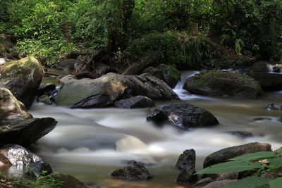 River flowing through rocks in forest