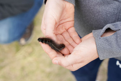 Midsection of man holding insect