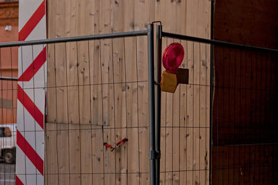 Close-up of red flower on wall