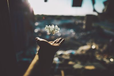 Close-up of hand holding flower