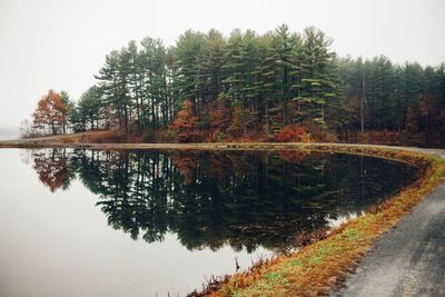 Reflection of trees in water