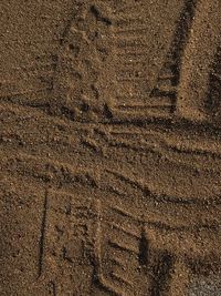 soil