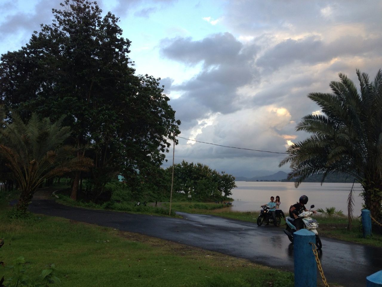 tree, sky, cloud - sky, men, water, transportation, cloudy, leisure activity, lifestyles, cloud, mode of transport, person, bicycle, nature, sitting, land vehicle, day, growth