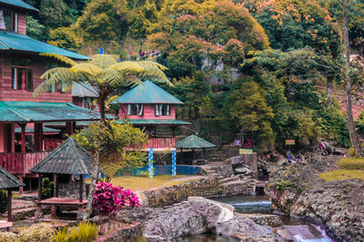 Trees and houses in park during autumn