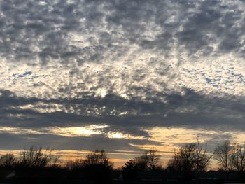 Low angle view of silhouette trees against dramatic sky