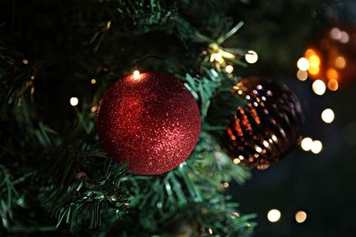 Close-up of christmas decorations hanging on tree