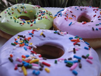 Close-up of donuts in plate