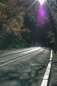 Road by trees against sky