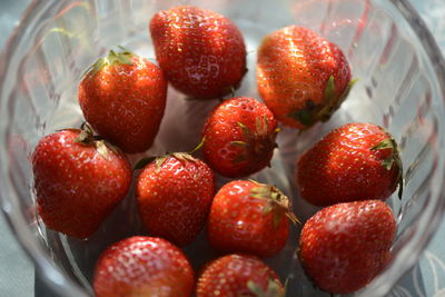 High angle view of strawberries on table