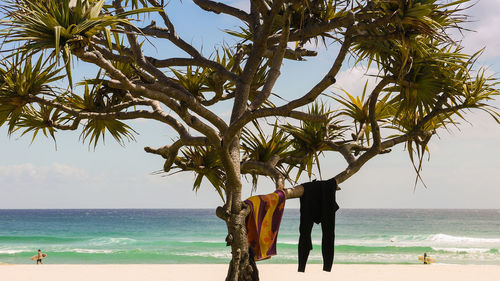 People by palm tree on beach against sky