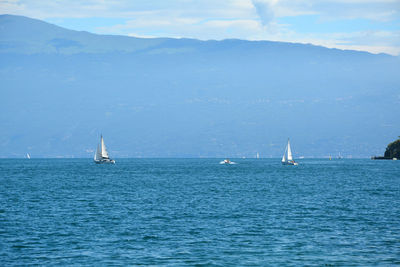 Sailboat sailing on sea against sky