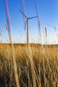 Wind turbine in field against blue sky