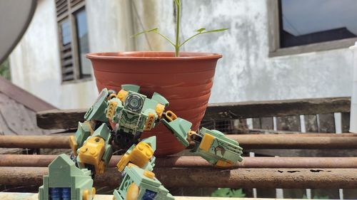 Close-up of potted plant against building