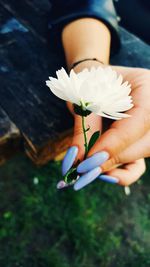 Close-up of hand holding flower