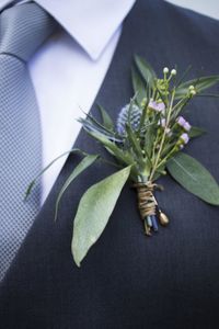 High angle view of plant on table