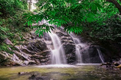 Scenic view of waterfall in forest