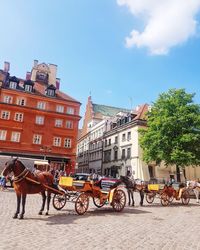 Horse cart against buildings in city