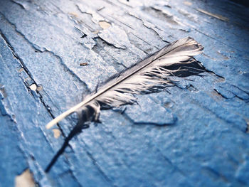 High angle view of weathered wood on table