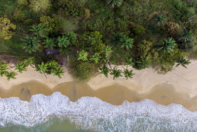 Aerial landscape of bureh beach freetown