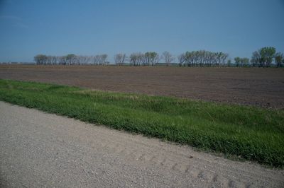 Scenic view of field against clear sky