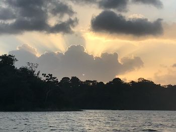 Silhouette trees by sea against sky during sunset