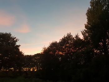 Silhouette trees against sky during sunset