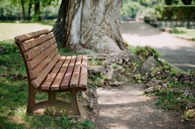 Empty bench in park