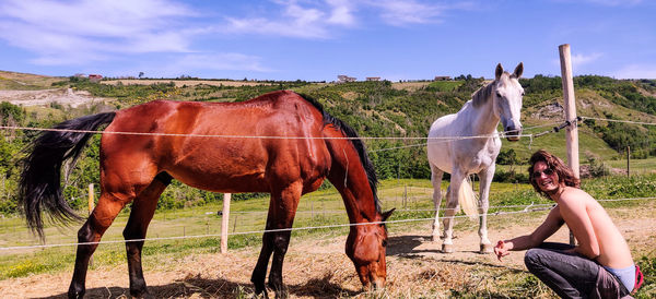 Berto feeding the horses