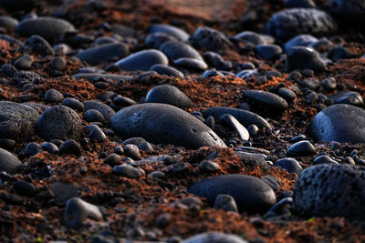 Close-up of pebbles