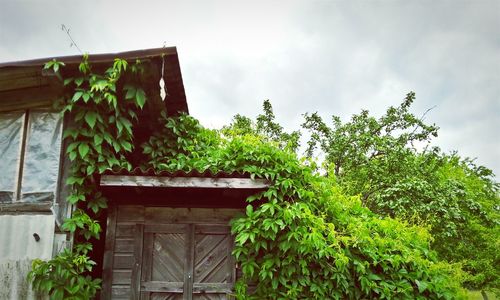 Low angle view of house against sky